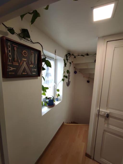 Chaleureuse Maison De Ville Avec Parking Gratuit チノン エクステリア 写真